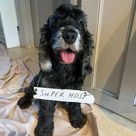 Stylish 2 Bedroom Self-contained In The Heart Of Clifton Village Apartmán