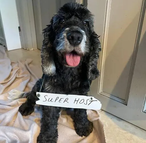 Stylish 2 Bedroom Self-contained In The Heart Of Clifton Village Apartment